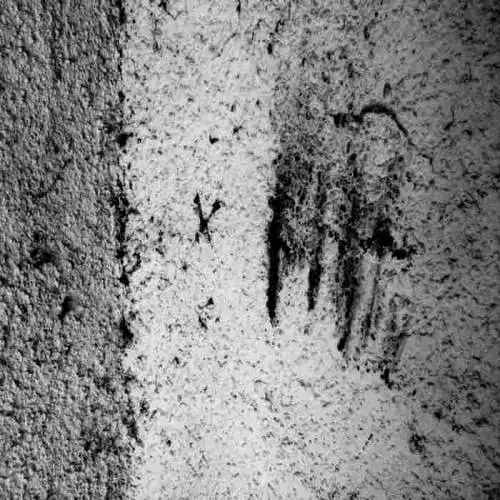 Aube Grise : L'Encre et la Terre